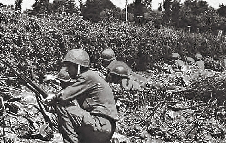 American infantrymen crouch behind bushes along a hedgerow.