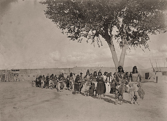 Left Arikara shamans seated in a semicircle around a sacred cedar tree