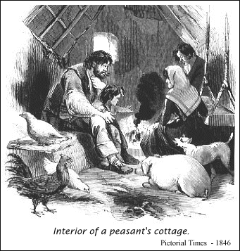 Interior of a peasant's cottage.