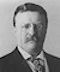 Theodore Roosevelt (1901-1909)