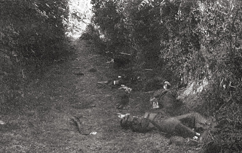 The aftermath of an encounter between members of the 82nd Airborne Division and Germans along a sunken trail bordered by high hedgerows at Saint-Mere-Eglise.